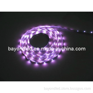 High Brightness DC12V LED Strip Waterproof LED Strip Light